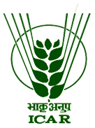 CCRI (ICAR) logo